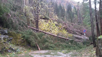 Tromba d'aria in Val Genova, il video di ciò che rimane